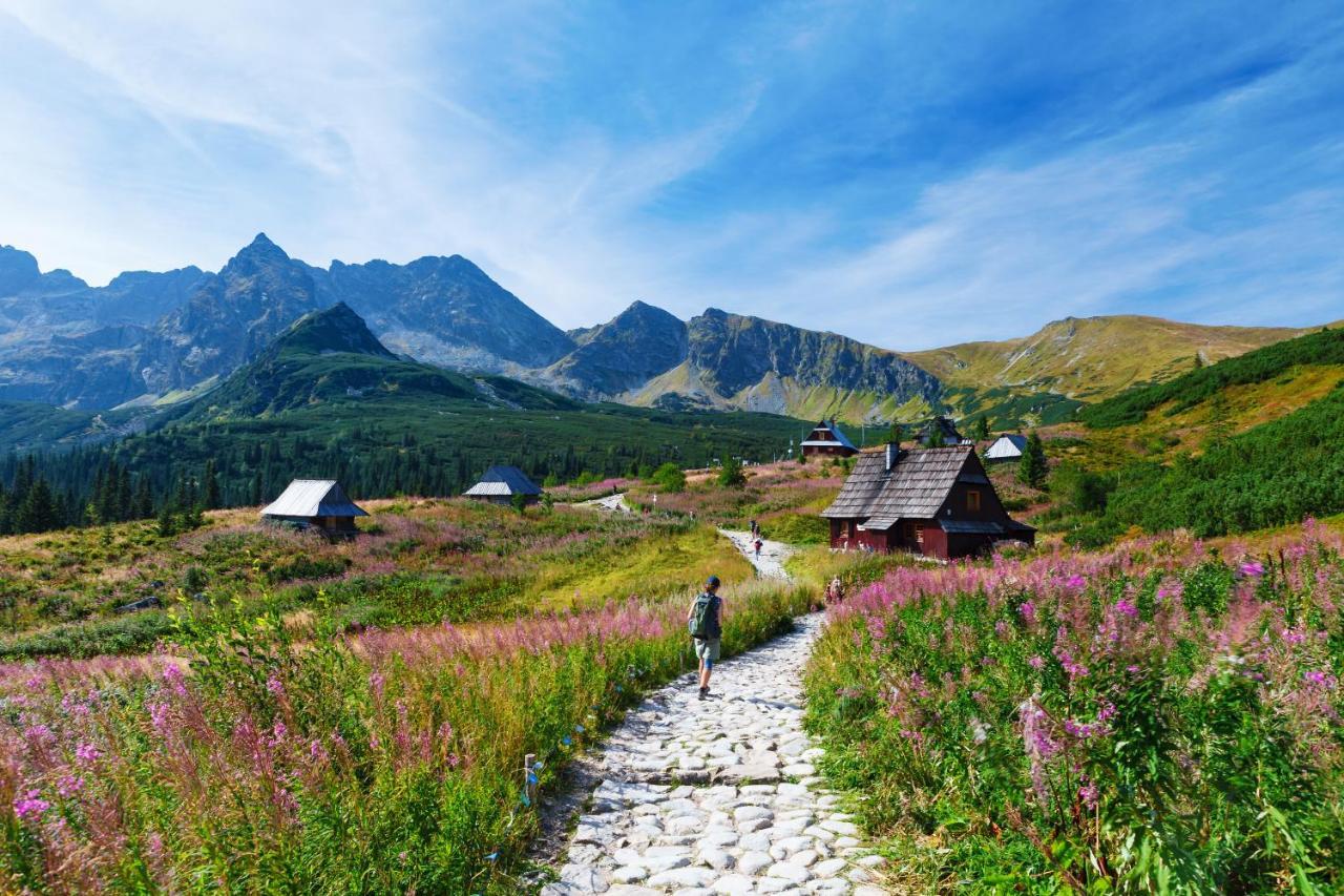 Zakopane - Apartament Chomikowka Экстерьер фото