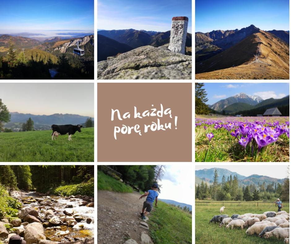 Zakopane - Apartament Chomikowka Экстерьер фото